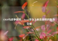 CSGO与战争前线，Steam平台上射击游戏的魅力交锋
