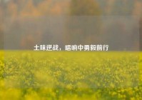 土味逆战，唱响中勇毅前行