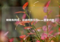 明明有网络，却被网困住的Steam登录问题
