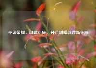 王者荣耀，自建小号，开启别样游戏新征程