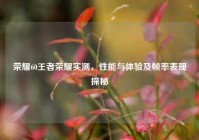 荣耀60王者荣耀实测，性能与体验及帧率表现探秘
