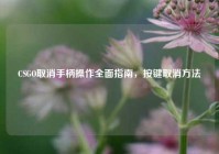 CSGO取消手柄操作全面指南，按键取消方法