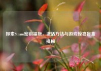 探索Steam密钥福袋，激活方法与游戏惊喜盲盒揭秘