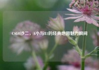 CSGO沙二，A小与B1的经典地图魅力瞬间