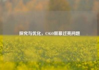 探究与优化，CSGO屏幕过亮问题