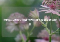 我的Steam库存，游戏世界的时光胶囊及赠送疑问