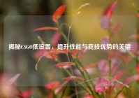 揭秘CSGO低设置，提升性能与竞技优势的关键