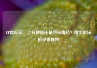 CF鼠标宏，上分神器还是封号毒药？附步枪压枪设置教程