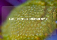 DOTA，STEAM平台上的竞技璀璨之花