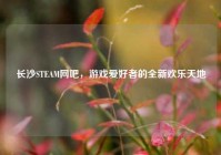 长沙STEAM网吧，游戏爱好者的全新欢乐天地