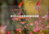 探寻PUBG战绩查询的多种途径