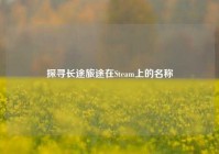 探寻长途旅途在Steam上的名称