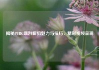 揭秘PUBG端游瞬狙魅力与技巧，精彩视频呈现