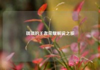 琪琪的王者荣耀解说之旅