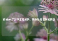 揭秘LOL手游限定兑换码，获取珍稀福利的钥匙