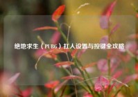 绝地求生（PUBG）扛人设置与按键全攻略