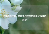 逆战组团任务，团队协作下的热血挑战与做法解析