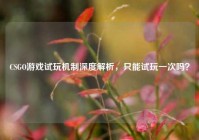 CSGO游戏试玩机制深度解析，只能试玩一次吗？
