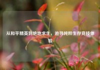 从和平精英到绝地求生，追寻纯粹生存竞技体验