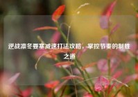 逆战凛冬要塞减速打法攻略，掌控节奏的制胜之道