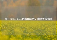 揭开Hidden Steam的神秘面纱，隐匿之汽探秘