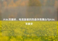 PUBG发展杯，电竞新星的热血孕育舞台与PUBG发展史