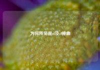为何所见是cf及cf神曲