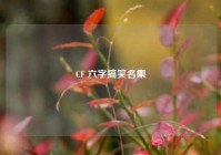 CF 六字搞笑名集