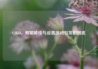 CSGO，频繁掉线与设置改动引发的困扰