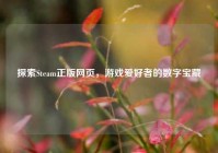 探索Steam正版网页，游戏爱好者的数字宝藏
