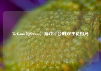 WeGame与Steam，游戏平台的双生花格局