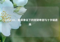 CSGO与CSOL，稻草象征下的坚韧希望与十字镐道具