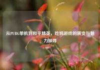 从PUBG单机到和平精英，吃鸡游戏的演变与魅力探寻