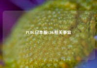 PUBG日本服CDK相关事宜