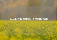 Steam好友惊喜馈赠，礼物领取指南