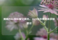 揭秘PUBG国际服兑换码，入口及珍稀道具获取捷径