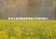 探寻王者荣耀简单版图片的独特魅力
