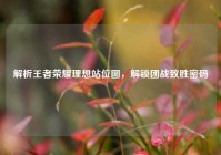 解析王者荣耀理想站位图，解锁团战致胜密码