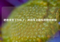 绝地求生（PUBG），开启车上音乐的独特体验