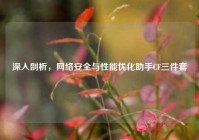 深入剖析，网络安全与性能优化助手CF三件套