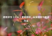 绝地求生（PUBG）更新错误，玩家困扰与解决办法