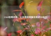 CSGO信用评级，公平竞技保障及低评分应对
