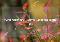 逆战能否携带两个不同戒指，游戏装备规则探索