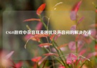 CSGO游戏中杂音耳麦困扰及声音闷的解决办法