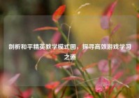 剖析和平精英教学模式图，探寻高效游戏学习之道