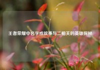 王者荣耀中名字或故事与二相关的英雄探秘