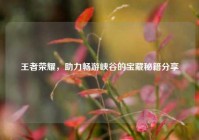 王者荣耀，助力畅游峡谷的宝藏秘籍分享