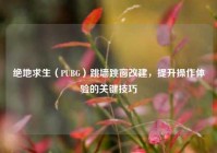 绝地求生（PUBG）跳墙跳窗改建，提升操作体验的关键技巧