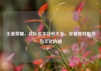 王者荣耀，战队名字符号大全，尽显独特魅力与文化内涵