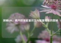 探秘LOL，揭开回复能量符文与能量续航的奥秘